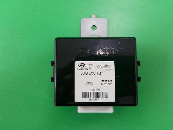 Body Control Module (BCM) Hyundai Grand Starex (2008)