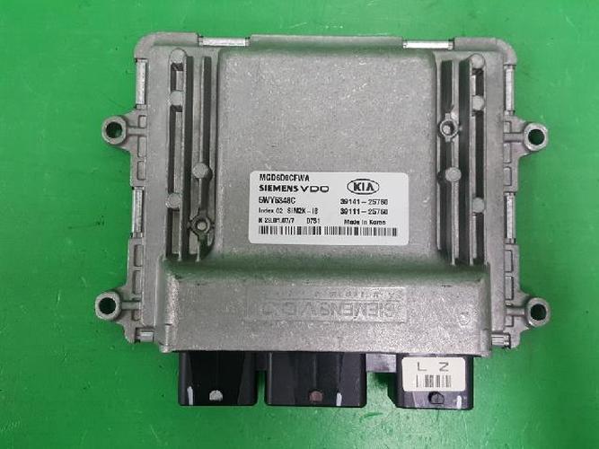 Engine Control Unit (ECU) Kia Lotze (2007)