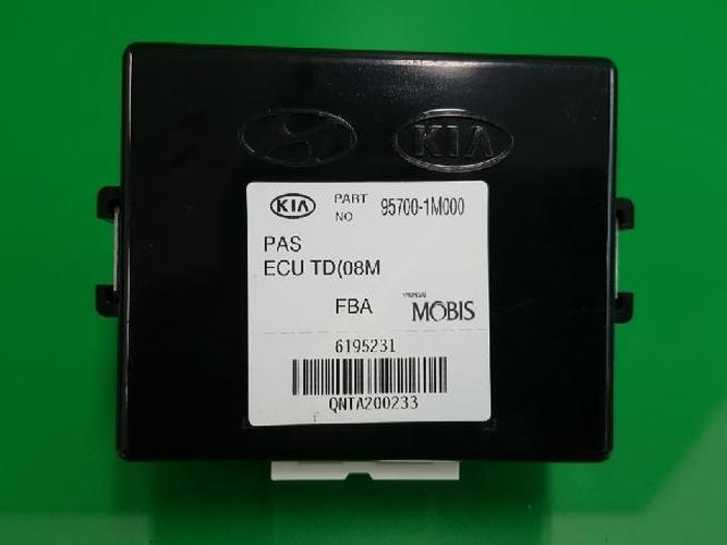 Body Control Module (BCM) Kia Forte (2010)