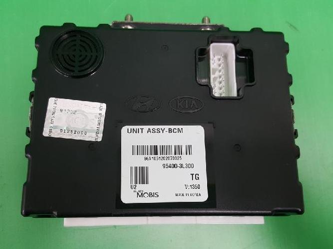 Body Control Module (BCM) Hyundai Grandeur (2005–2006)