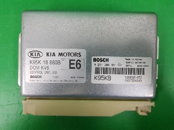 Блок комфорта (BCM) Kia Enterprise (2002)