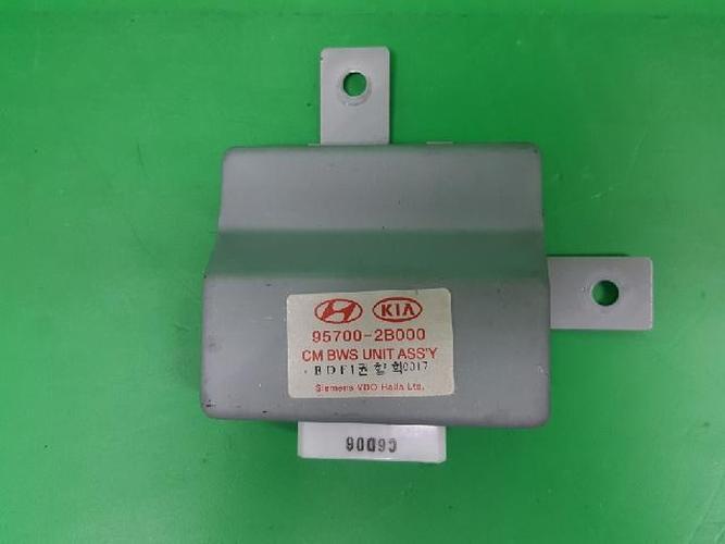Body Control Module (BCM) Hyundai Santa Fe (2006–2010)