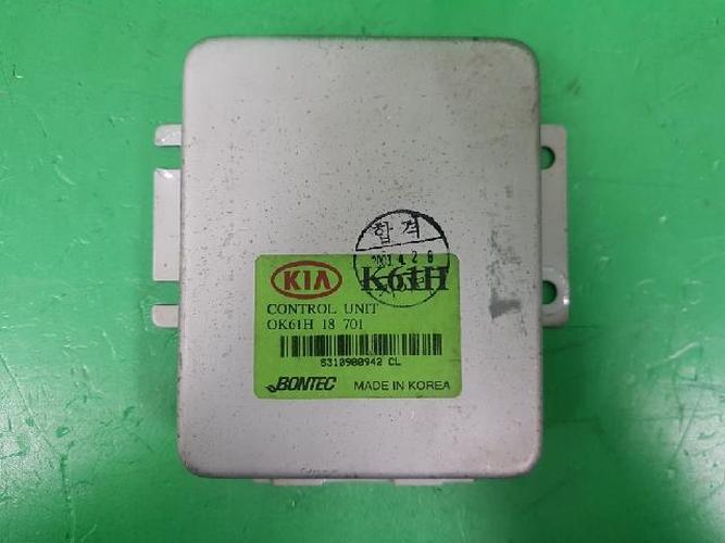 Body Control Module (BCM) Kia Pregio (2003)