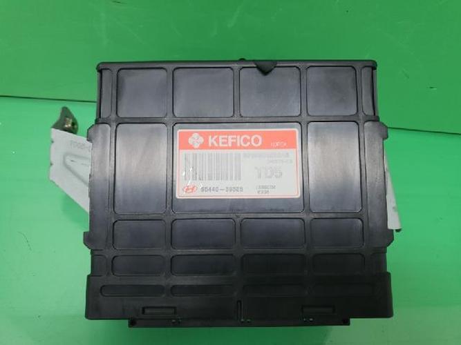 Body Control Module (BCM) Hyundai Grandeur (2004–2005)