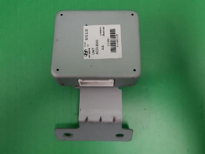 Body Control Module (BCM) Hyundai Grandeur (2006–2008)