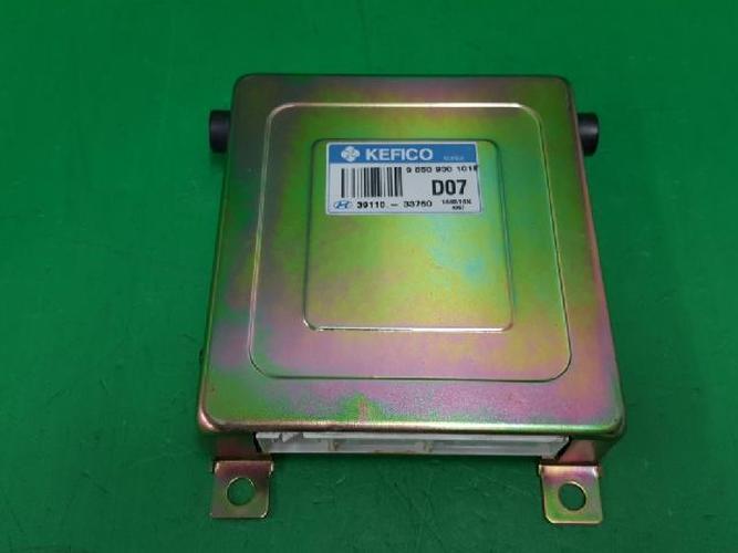 Engine Control Unit (ECU) Hyundai Sonata (1996)