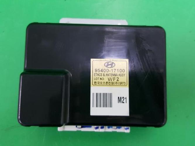 Body Control Module (BCM) Hyundai Lavita (2001–2002)