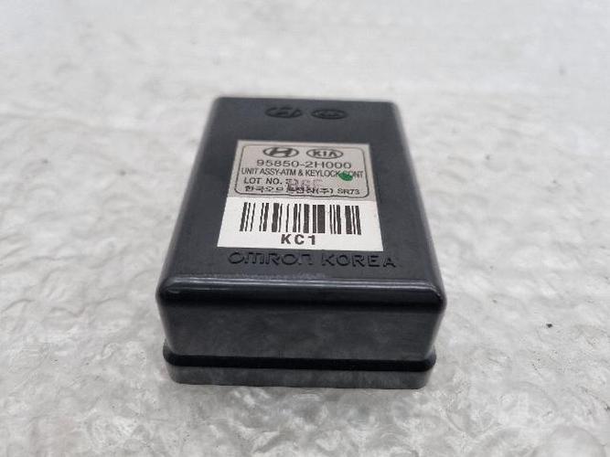 Electronic Module Hyundai Elantra (2007)