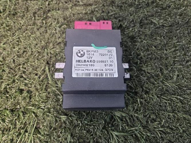 Electronic Module BMW X Series (2010)