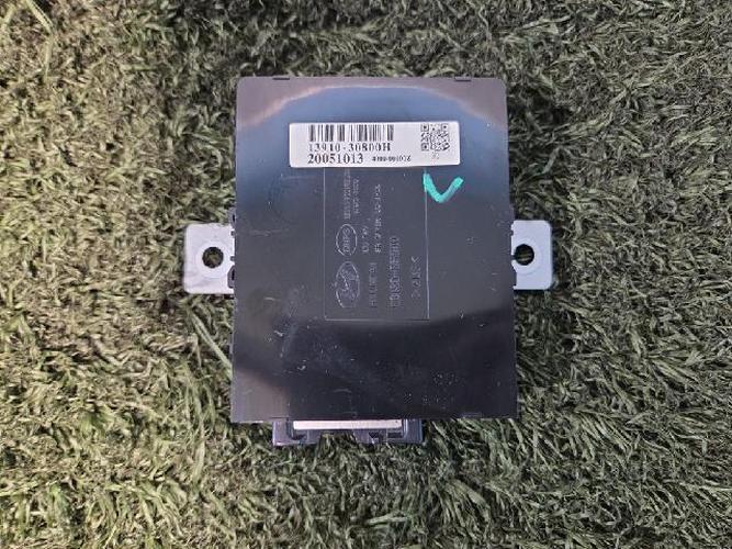Electronic Module Hyundai Equus (2006)