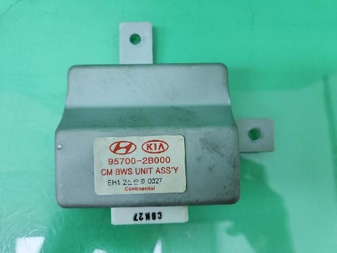 Electronic Module Hyundai Santa Fe (2010)