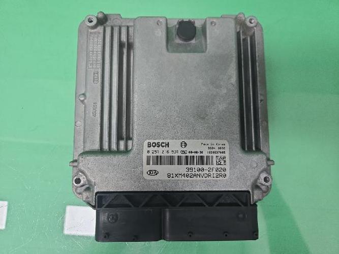 Engine Control Unit (ECU) Kia Sorento (2010)