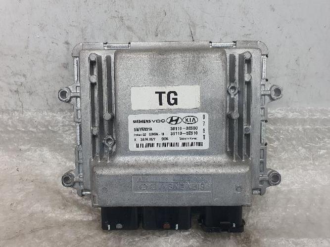 Блок управления двигателем (ECU) Hyundai Grandeur (2006)