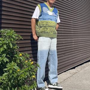 Image print knit vest