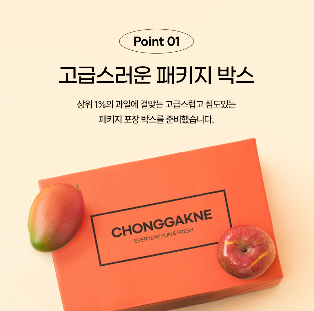 화장품 오렌지 색상 이미지-S9L11