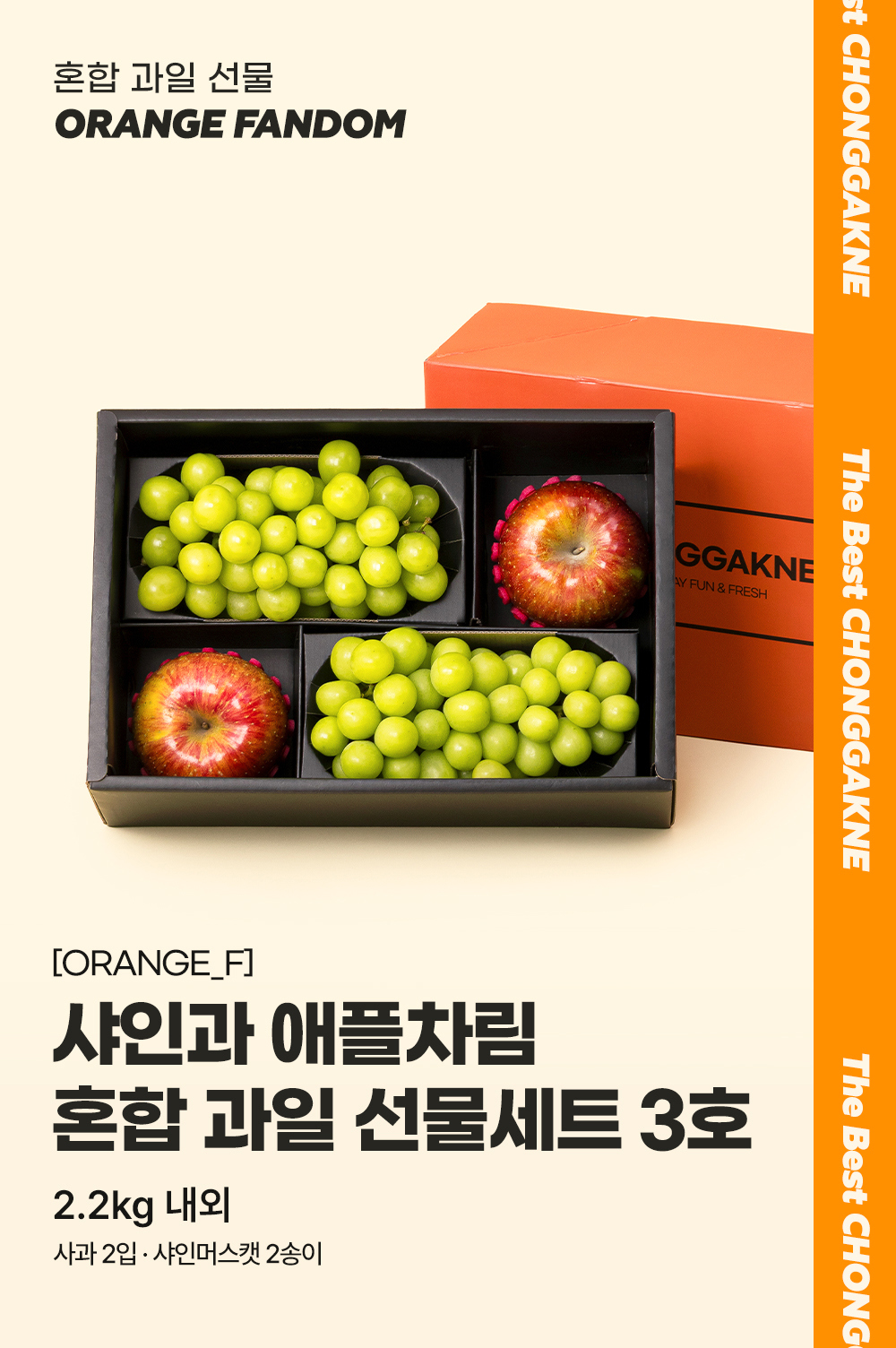 화장품 상품 이미지-S9L13