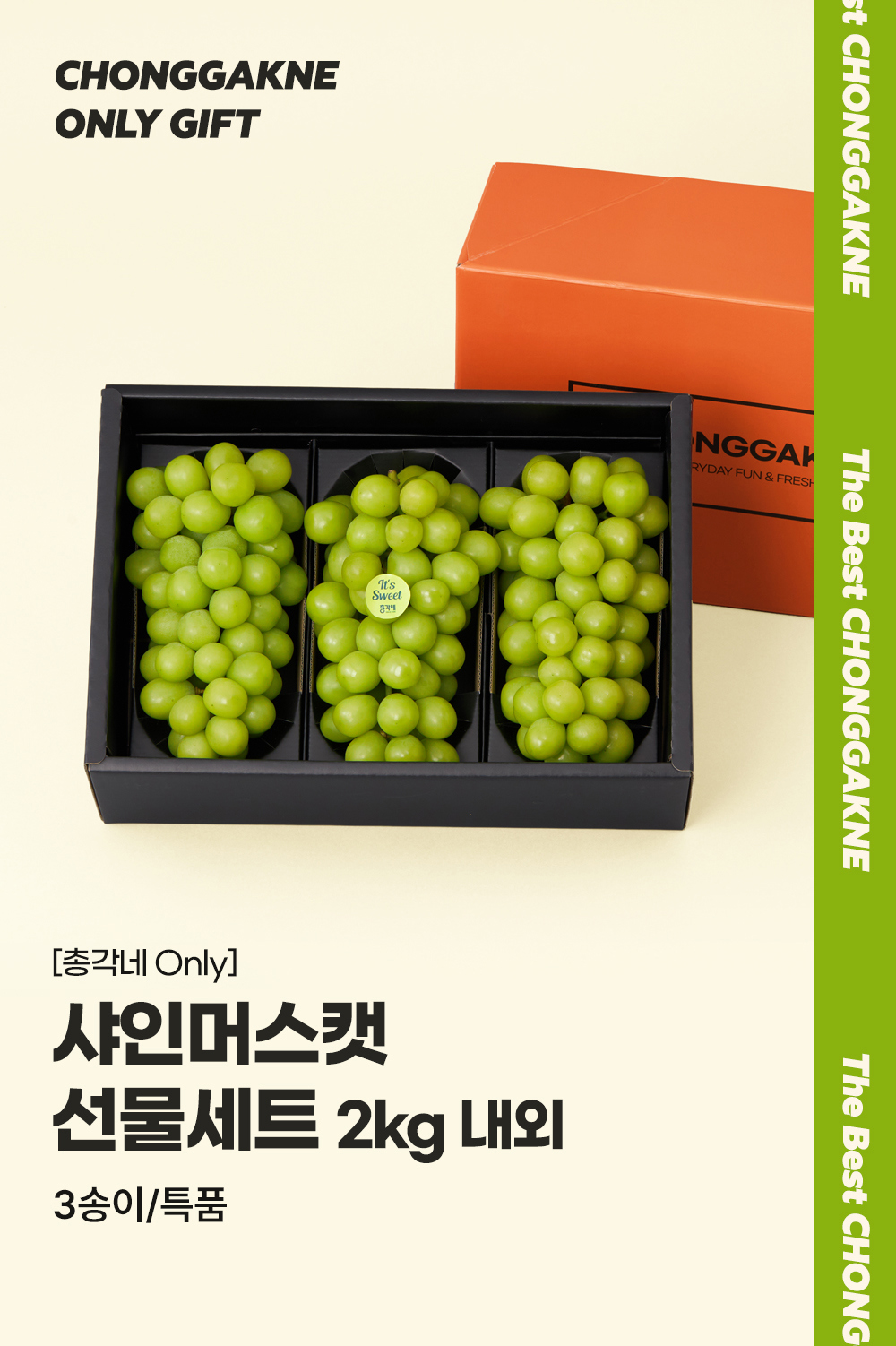 화장품 상품 이미지-S1L9