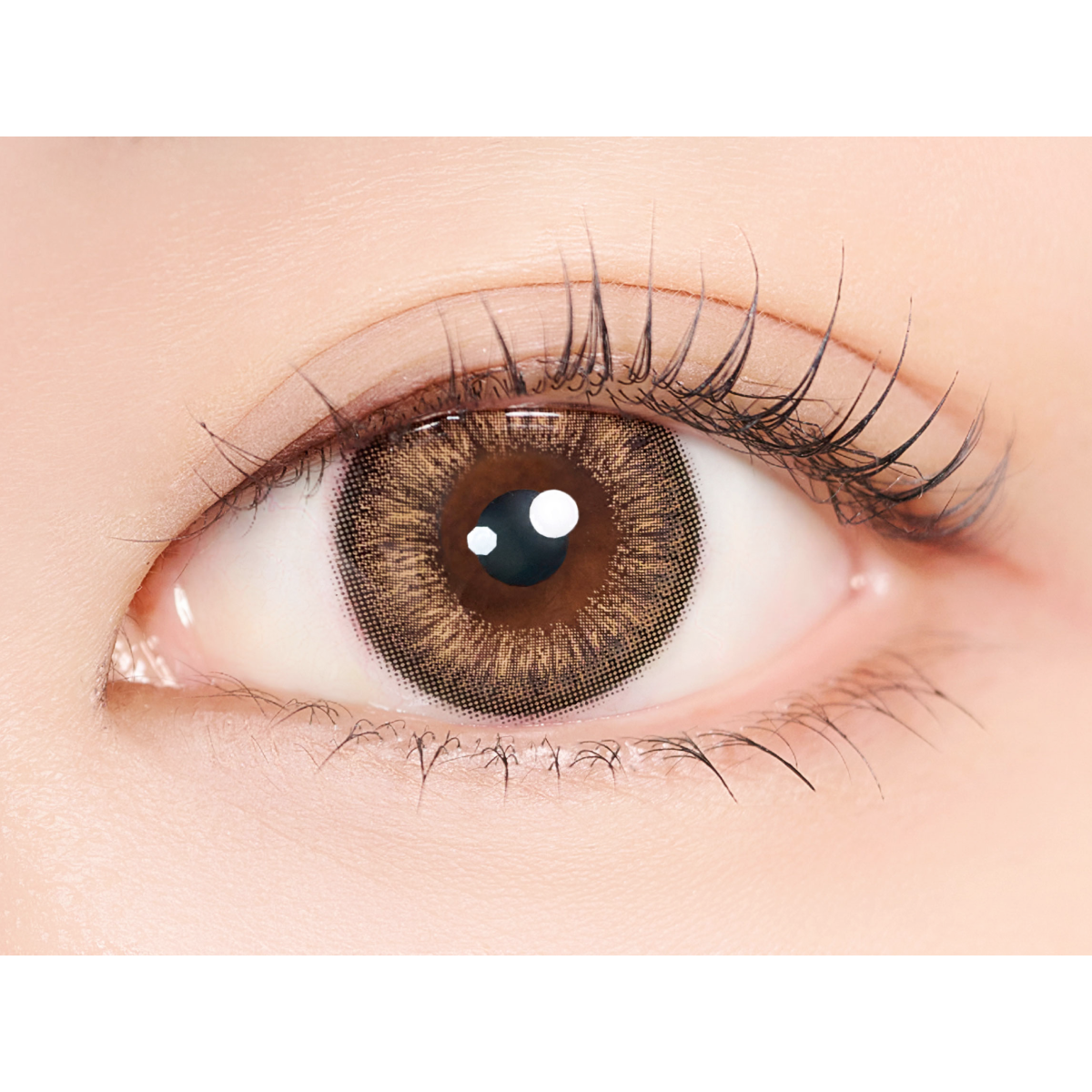 Lucky Vicky Brown 1ヶ月 | MIMIC LENS