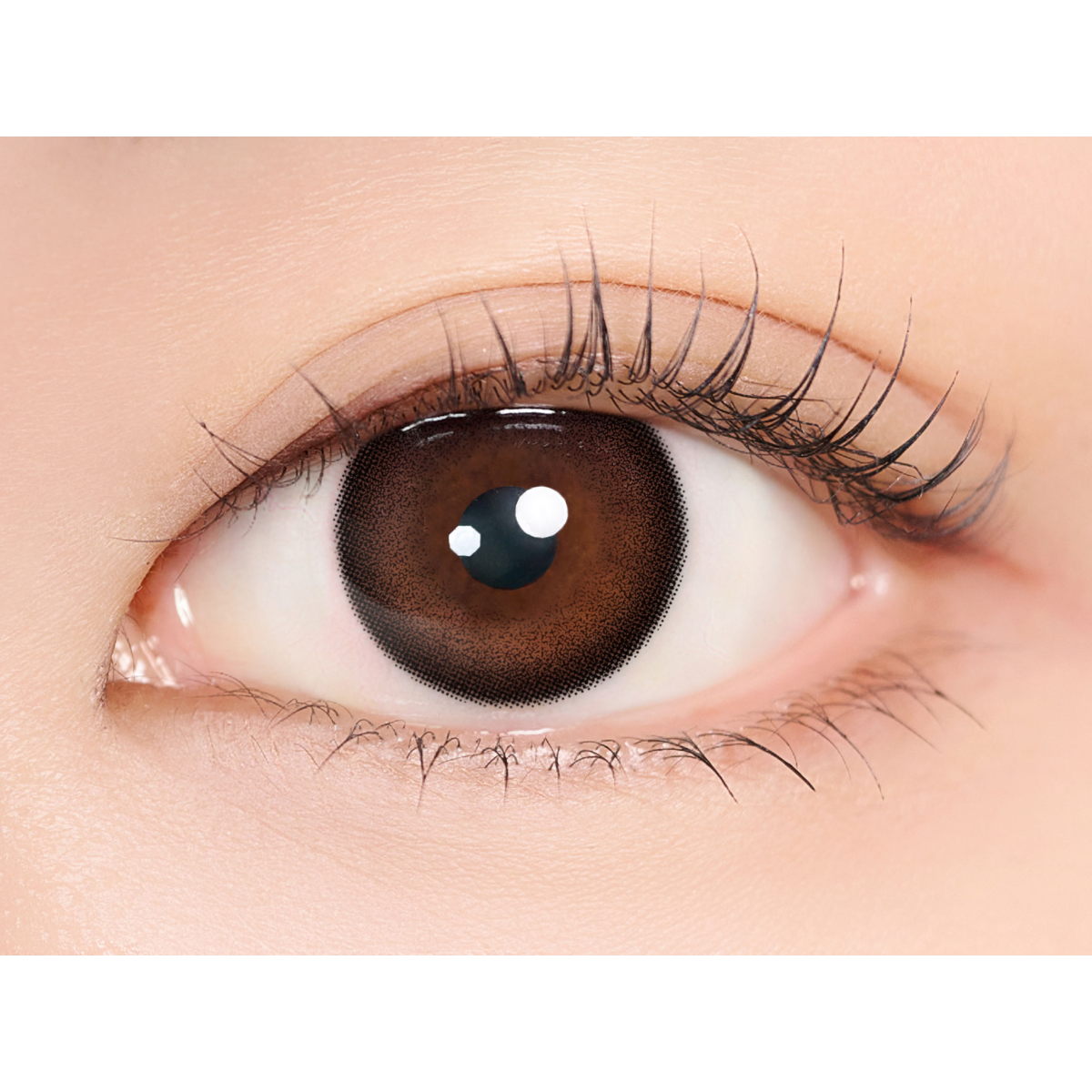 Vely Vely Black 1ヶ月 | MIMIC LENS