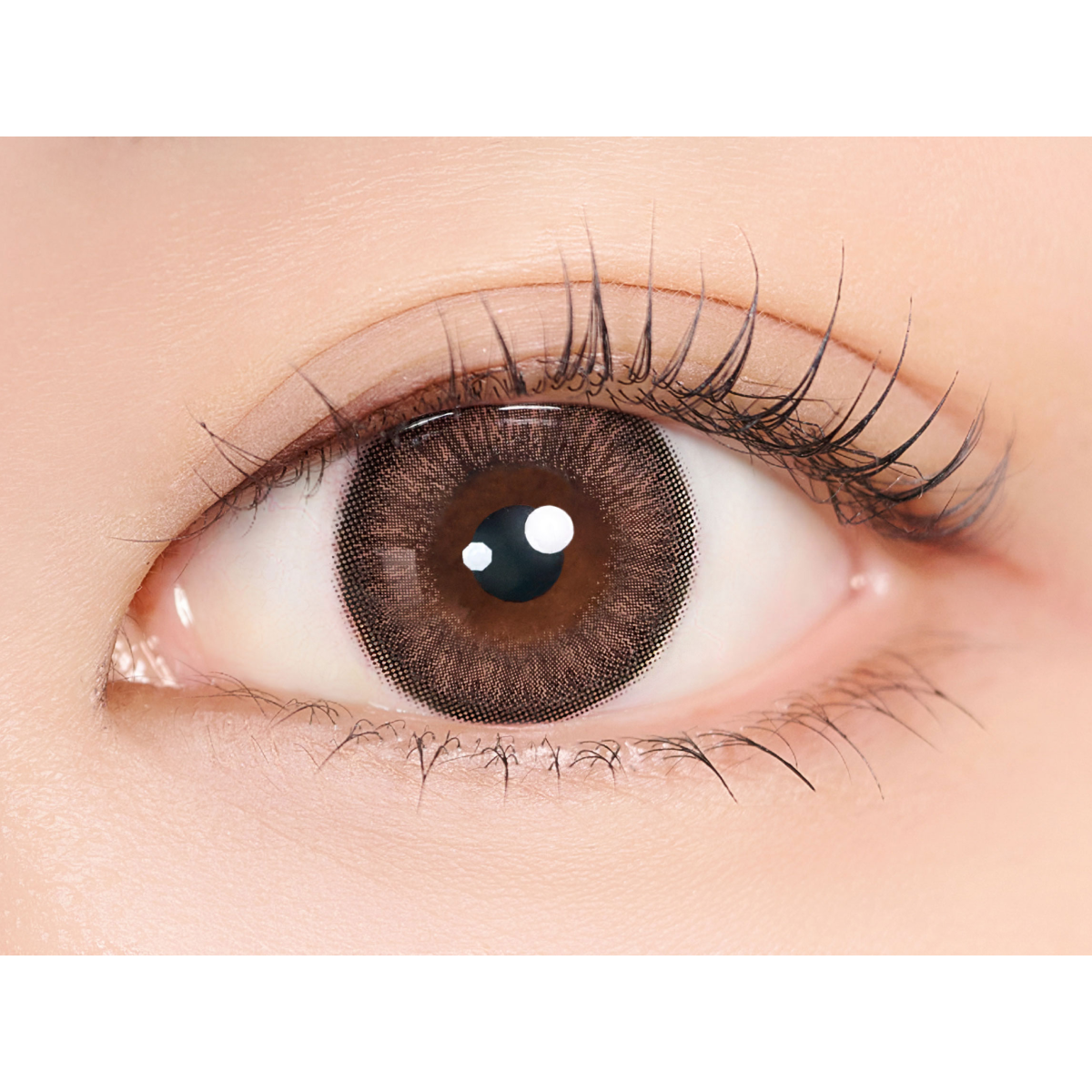 Lucky Vicky Choco 1ヶ月 | MIMIC LENS