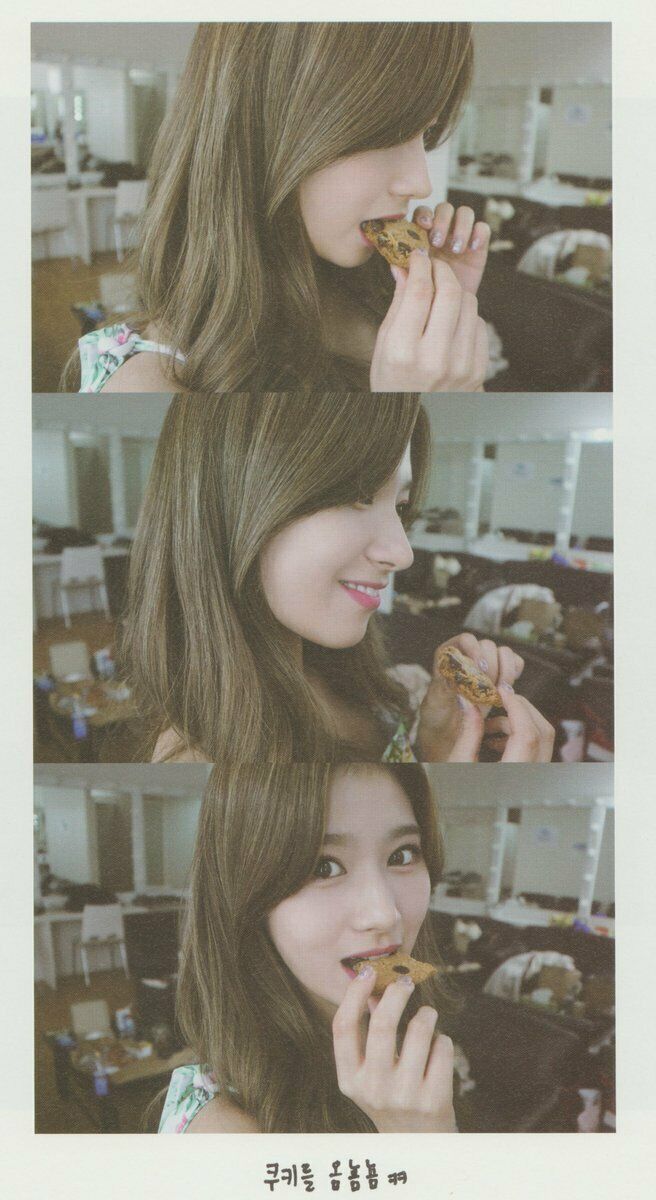 트와이스 (TWICE) - [둡또카2] (PHOTOBOOK BY DAHYUN)